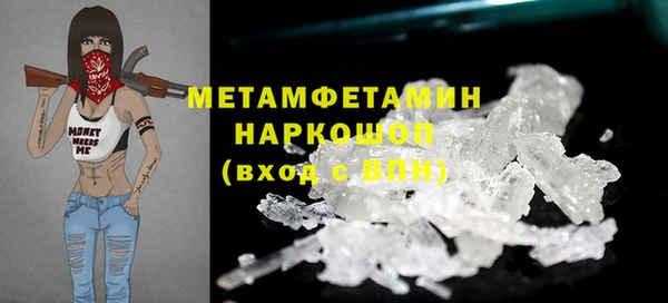 прущие грибы Хадыженск