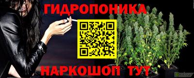 винт Балашиха