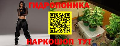 прущие грибы Балахна