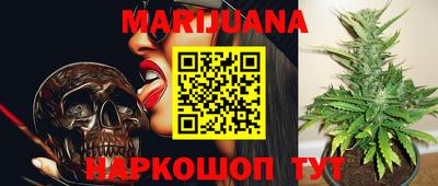 сатива Апшеронск