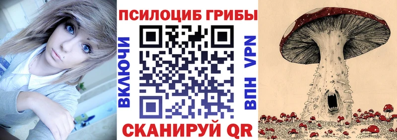 закладки  Волжский  гидра tor  Галлюциногенные грибы мицелий 