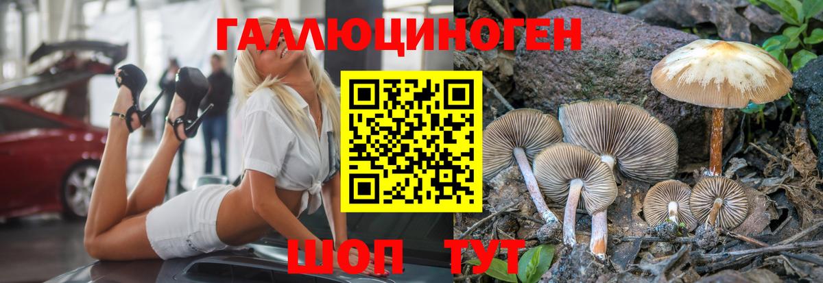 Псилоцибиновые грибы GOLDEN TEACHER  Волжский 